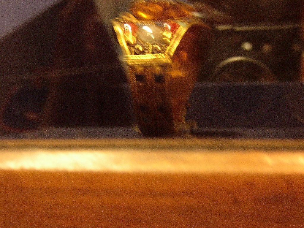 Lupo Egitto 175